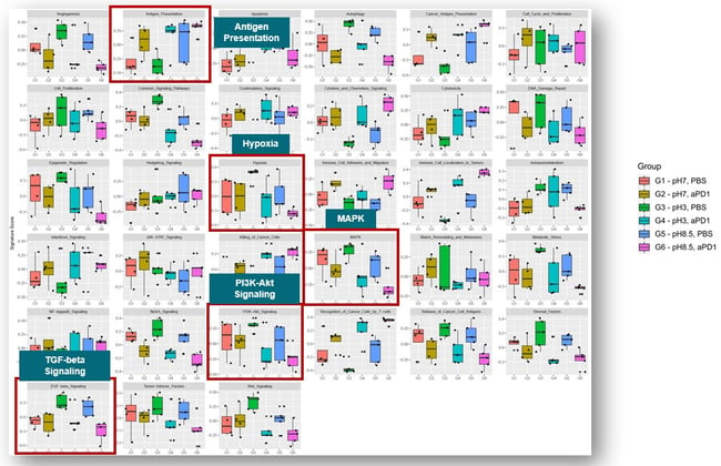 Immune signature analysis of MC38 tumors