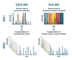 Next-Generation Discovery Proteomics: The Power of Ion Mobility Mass ...
