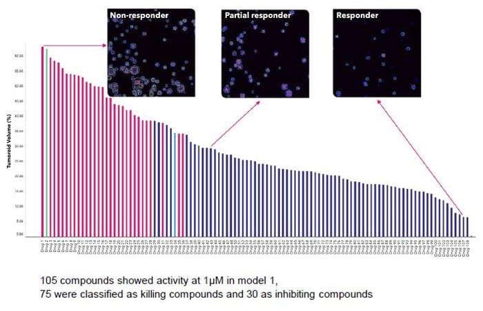 Tumor Organoid Models Chart