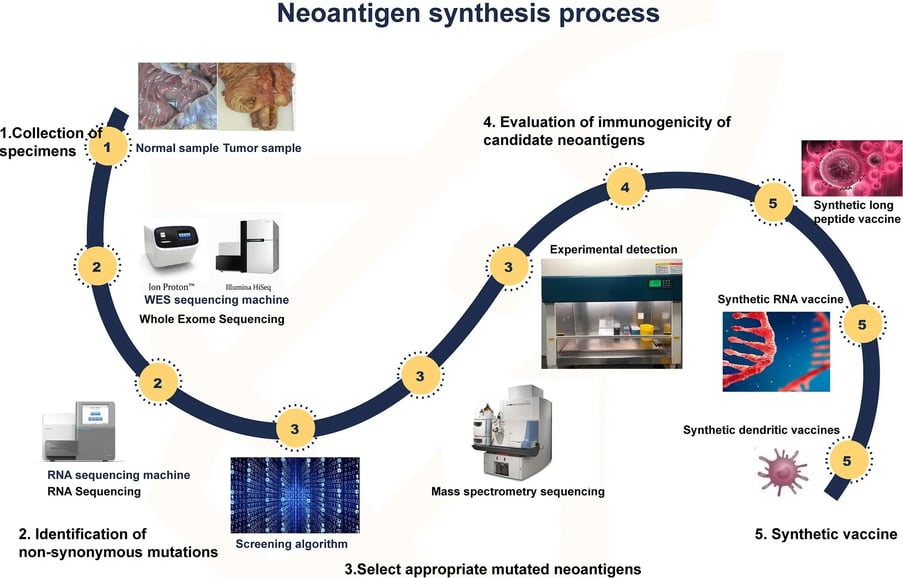 Synthesis of neoantigen diagram-Crown Bioscience