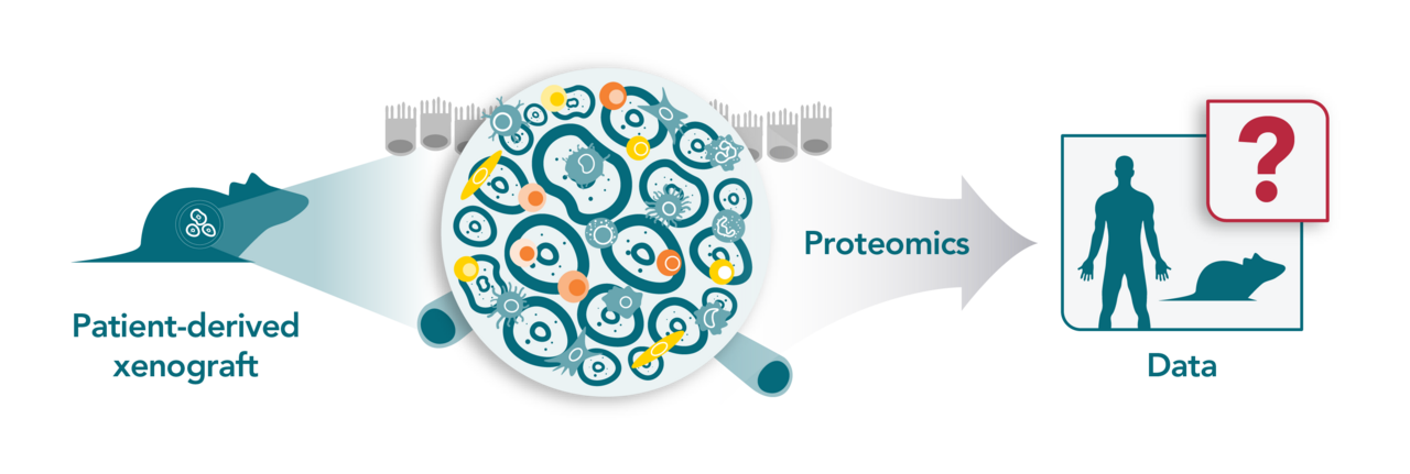 proteomics