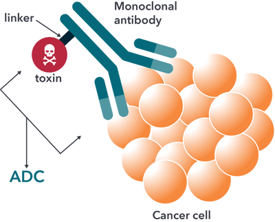 Antibody-Drug Conjugates for Cancer Treatment