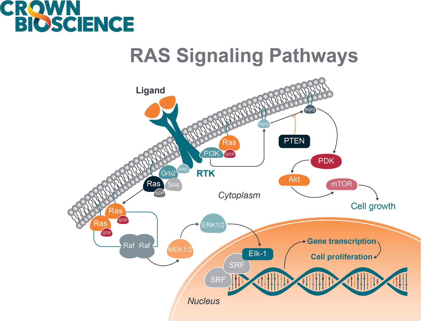 RAS: Targeting the Impossible