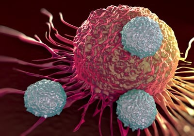 Tcells.jpg