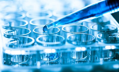 example of pipetting into a 96 well plate for ELISA assay