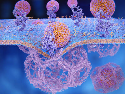 DGAT2 inhibitors, dyslipidemia, low density lipoprotein binding on cell membrane