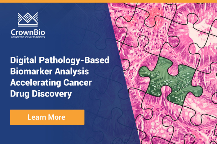 Accelerating Cancer Drug Discovery with Digital Pathology-Based ...