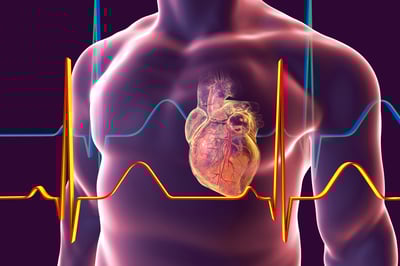 ADA 2018, ZDSD rat cardiac function studies, cardiac dysfunction rodent model