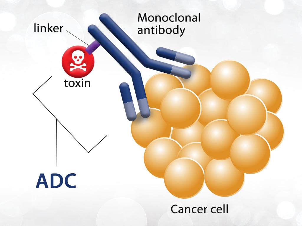 Expanding The Horizon Of Antibody-Drug Conjugates For Cancer Treatment