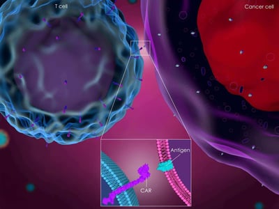 CAR-T cell therapy image showing the antigen on a cancer cell, and CAR on a T cell