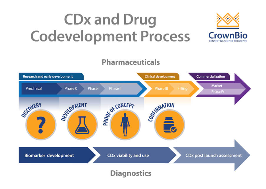 the-importance-of-companion-diagnostics