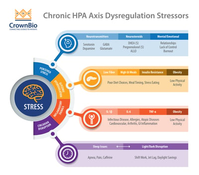 the four classes of chronic HPA axis dysregulation stressors, including circadian rhythm disruption
