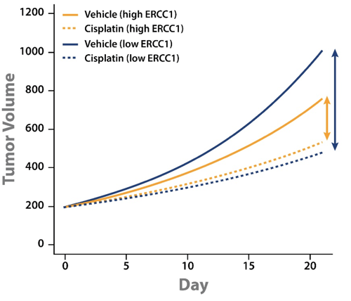 Using MCTs and LMM Analysis for Clinical Biomarker Validation