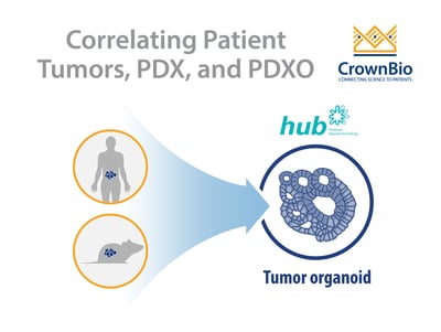 q&a on how to successfully develop PDX-derived organoids pdxo