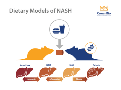 Dietary Mouse Models of NASH: Comparing the AMLN Diets and the MS-NASH Mouse