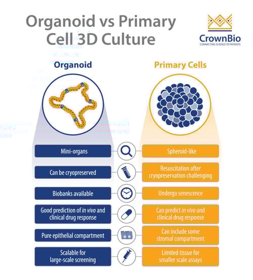 How Are Organoids Different From 3d Primary Cell Cultures