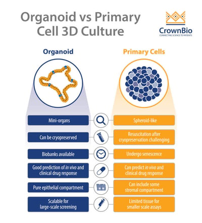 differences between organoids and primary cell 3D culture