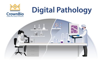 Explore digital pathology, and how it‘s being used for biomarker discovery particularly within immuno-oncology