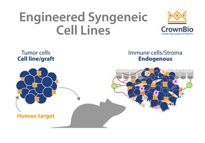 Engineered Syngeneic Cell Lines
