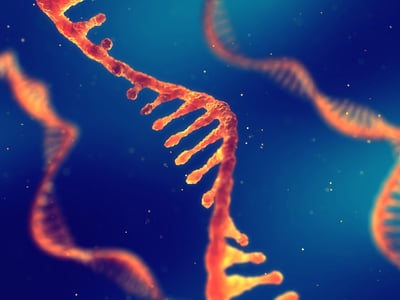 RNA strand for use in transcriptomic technologies