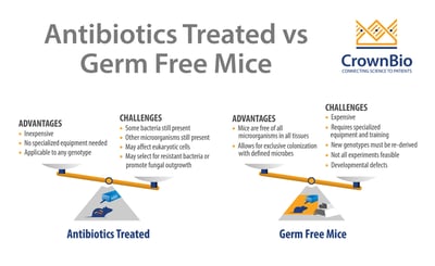 germ-free (GF) and antibiotic-treated mice for preclinical gut microbiota studies