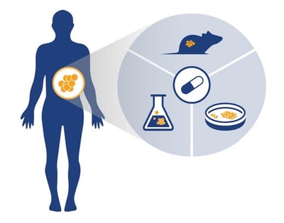 AACR 2018 posters, in vitro oncology assays, ex vivo oncology assays, translational patient-derived xenograft