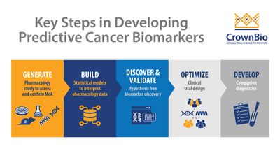 key steps showing how to develop predictive cancer biomarkers