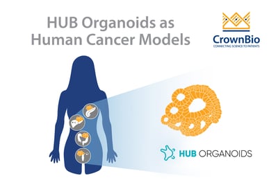 HUB Organoids as human cancer models