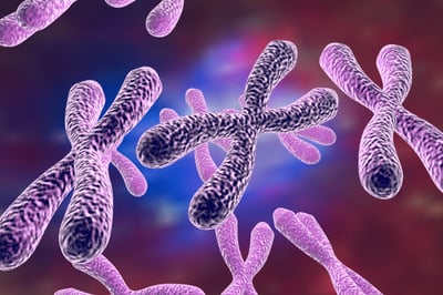 tlr7, x chromosome inactivation, lupus, SLE, systemic lupus erythematosus, auto-immune, inflammation, drug target