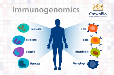 immunogenomics in oncology drug discovery