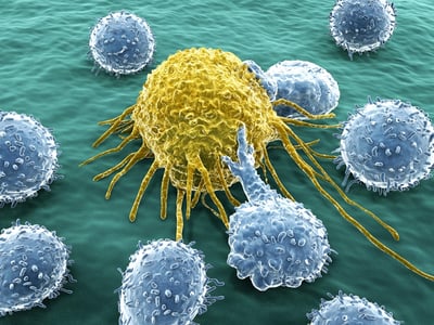 cancer cell and lymphocytes, immunotherapy immuno-oncology 2017 review, car-t, microbiome, vaccine, checkpoint inhibitor