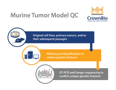 murine tumor oncology model quality control process