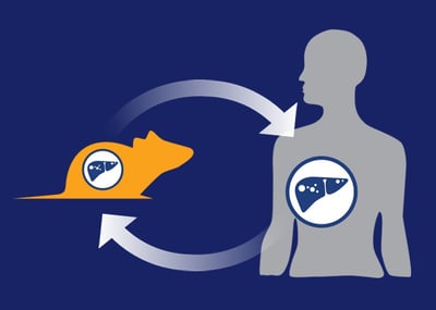 Predictive Immuno-Oncology Studies with Humanized PDX