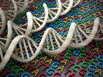 DNA strands on a genome sequence