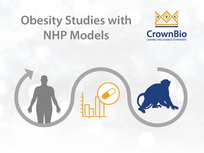 infographic displaying NHP models as human-disease relevant for anti-obesity agent testing