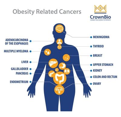 infographic showing the main cancer types related to obesity, including breast cancer and liver cancer