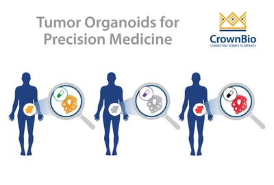 patient-derived tumor organoids in precision medicine
