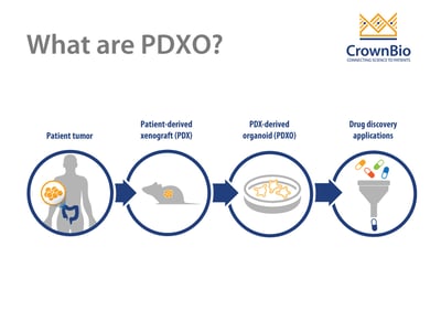 pdx-derived organoid (PDXO) generation from pdx tumor tissue