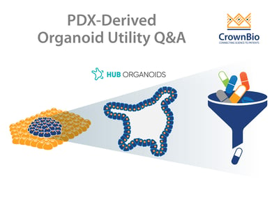 Q&A on utilities of PDX-Derived Organoids, PDXO