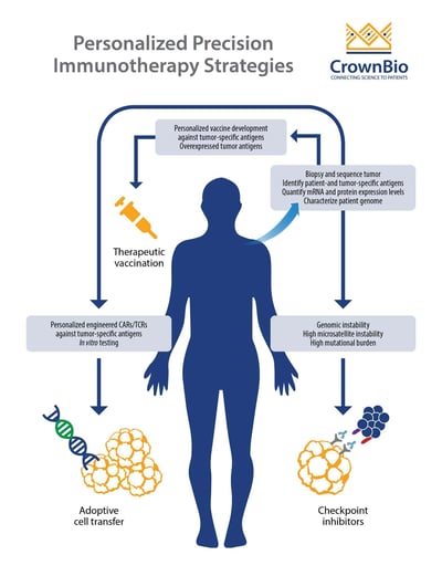 personalized precision immunotherapy strategies, therapeutic vaccination, car-t cell therapy, immune checkpoint inhibitors, adoptive cell transfer