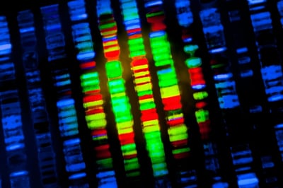 dna sequence, precision medicine 2017 review, personalized medicine, biomarkers, companion diagnostics, liquid biopsy