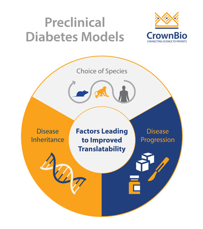 Infographic of factors determining translatability in preclinical models of type 2 diabetes