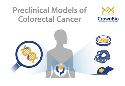 tumor organoids provide a new preclinical option for colorectal cancer and specific disease mutations modeling