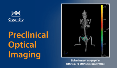 in vivo bioluminescent imaging of orthotopic prostate cancer PC-3M tumors