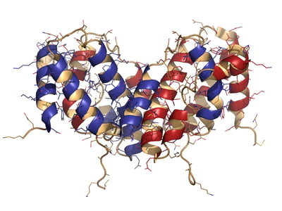 representative protein structure