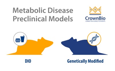 graphic of diet induced obesity and genetically modified rodent models