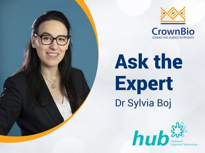 sylvia boj, scientific director of HUB answers HUB Organoid technical questions