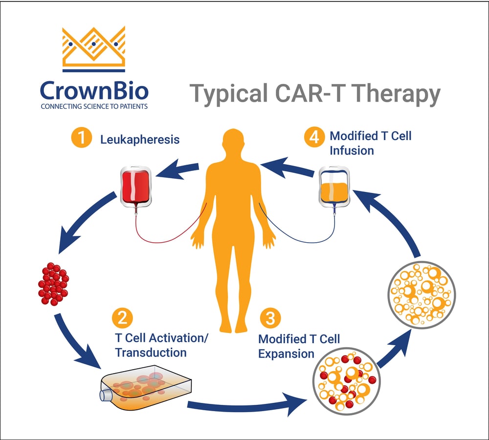 Post Fda Approval Car T Therapy Key Facts