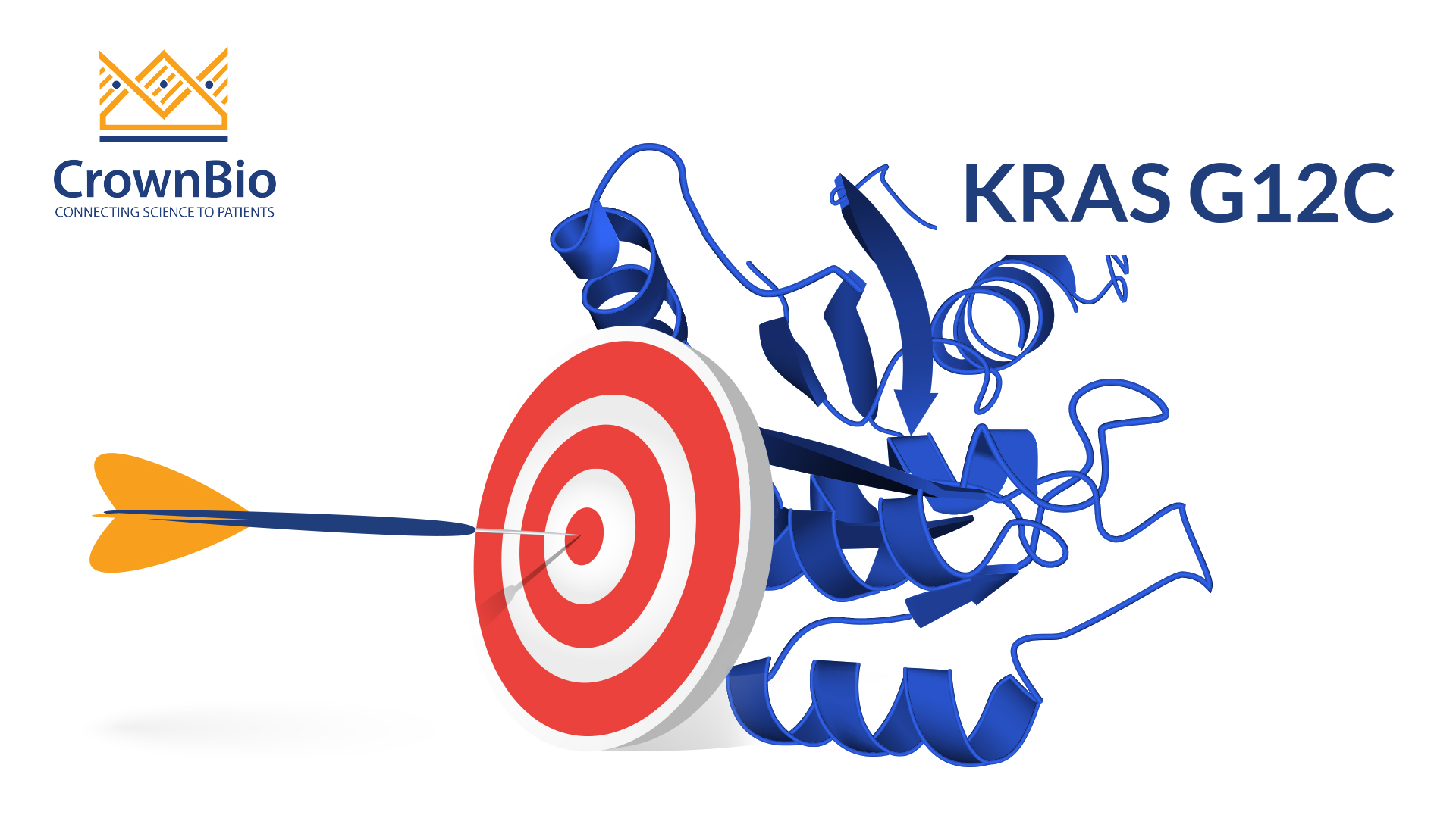 Targeting KRAS: Finally Drugging The Undruggable?