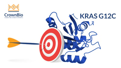 targeting KRAS and KRAS G12C mutations in oncology drug development